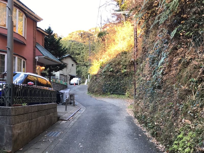 f:id:garadanikki:20190206020222j:plain