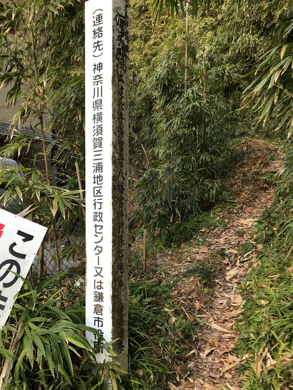 f:id:garadanikki:20190206020223j:plain