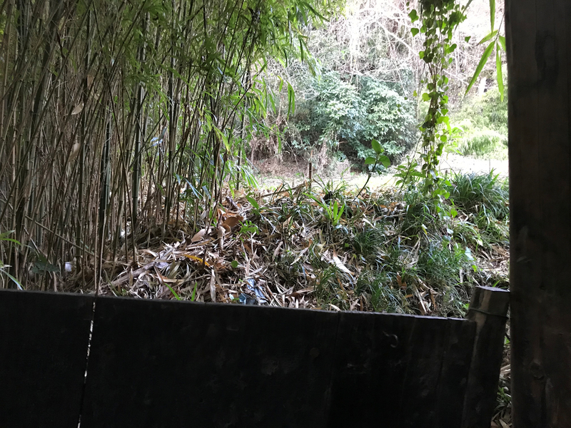 f:id:garadanikki:20190206020224j:plain