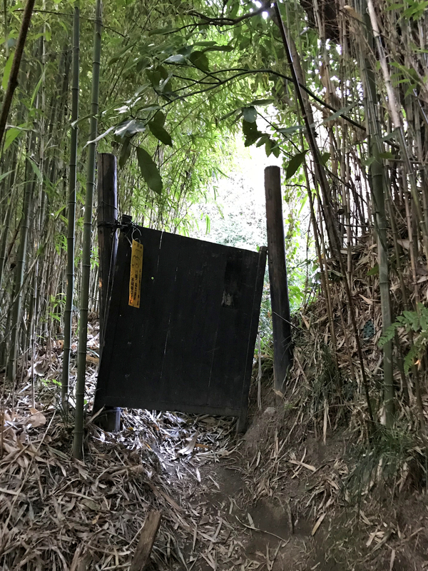 f:id:garadanikki:20190206020225j:plain