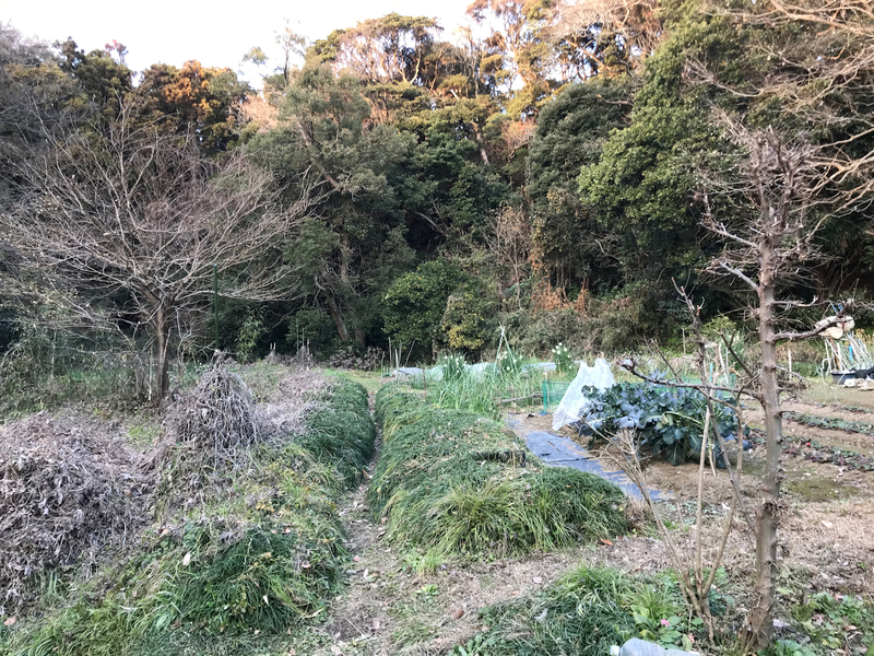 f:id:garadanikki:20190206020226j:plain