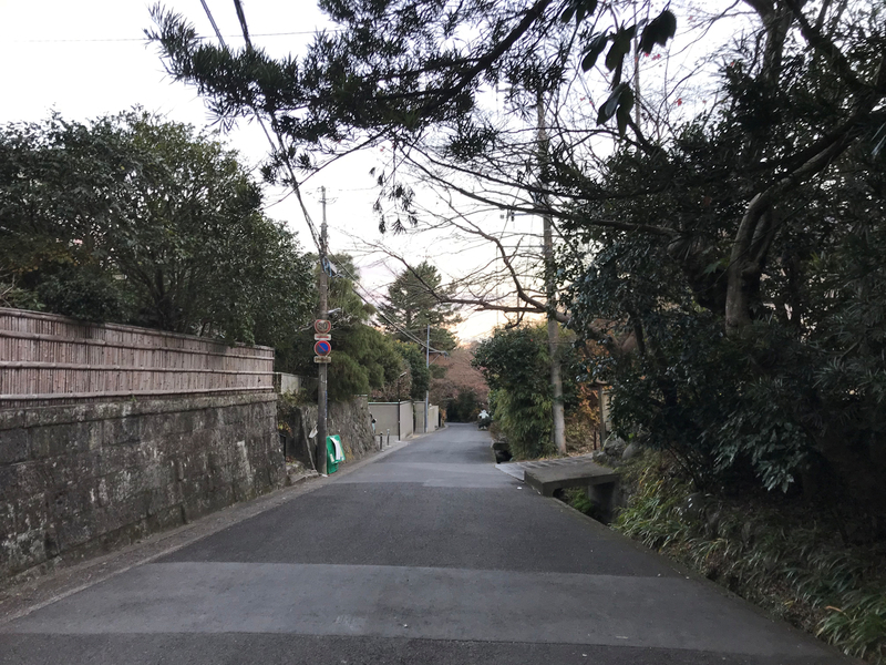 クリックすると大きくなります f:id:garadanikki:20190206020248j:plain