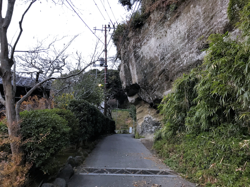 クリックすると大きくなります f:id:garadanikki:20190206020252j:plain