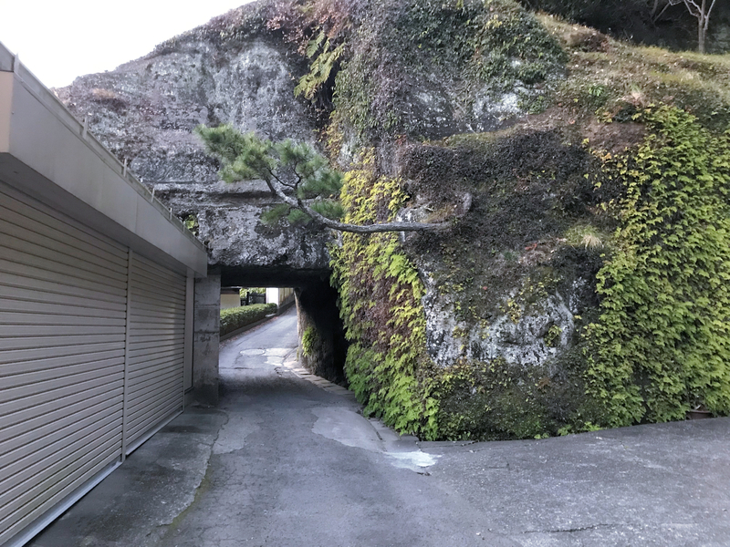 クリックすると大きくなります f:id:garadanikki:20190206020253j:plain