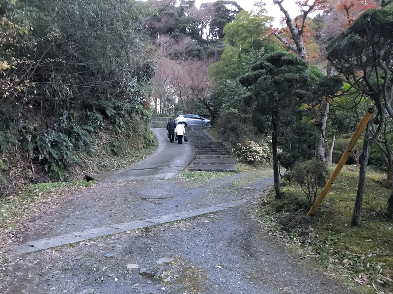 クリックすると大きくなります f:id:garadanikki:20190206020254j:plain