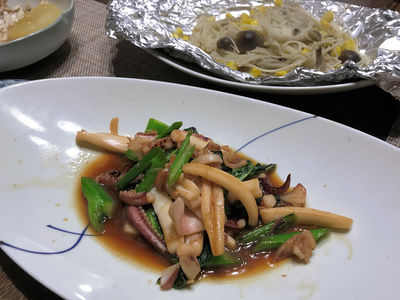 f:id:garadanikki:20190208173018j:plain