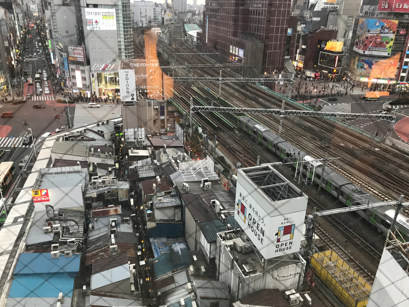 f:id:garadanikki:20190210154652j:plain