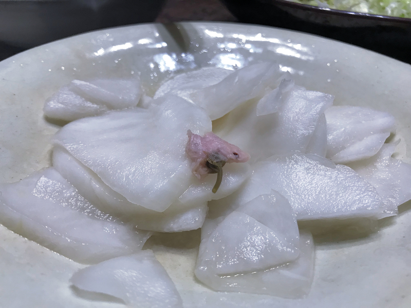 f:id:garadanikki:20190214014933j:plain