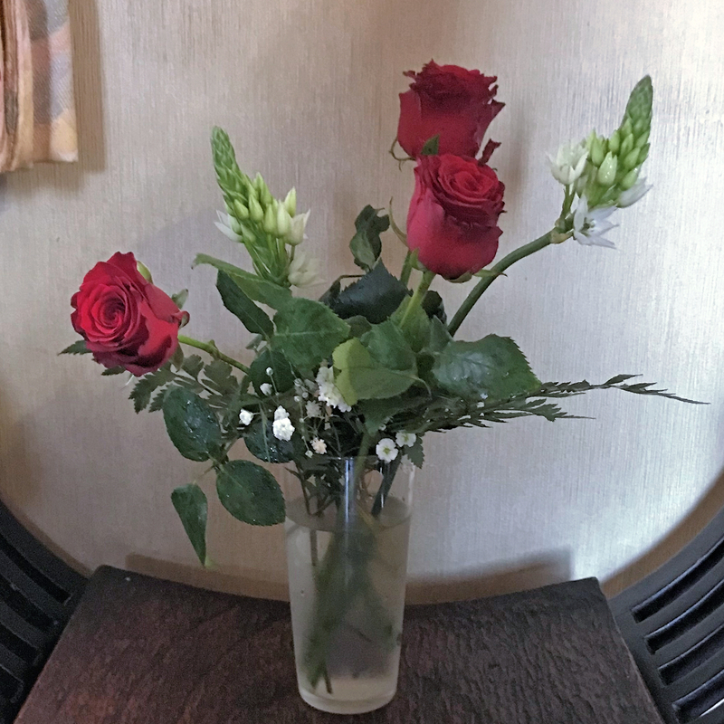 f:id:garadanikki:20190222092348j:plain