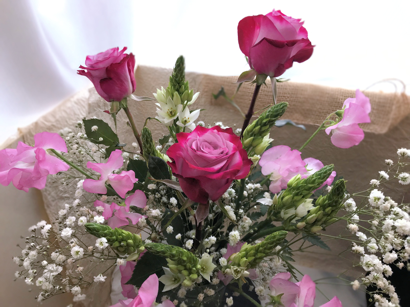 f:id:garadanikki:20190222092351j:plain