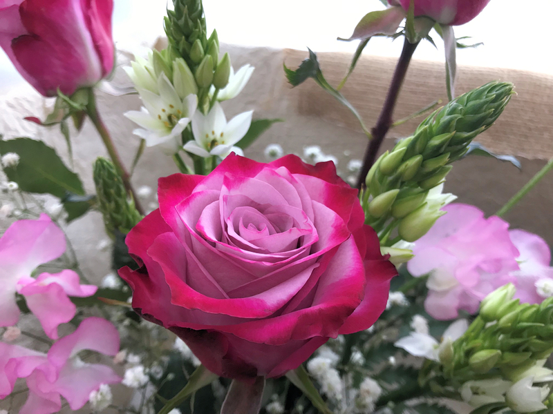 f:id:garadanikki:20190222092352j:plain