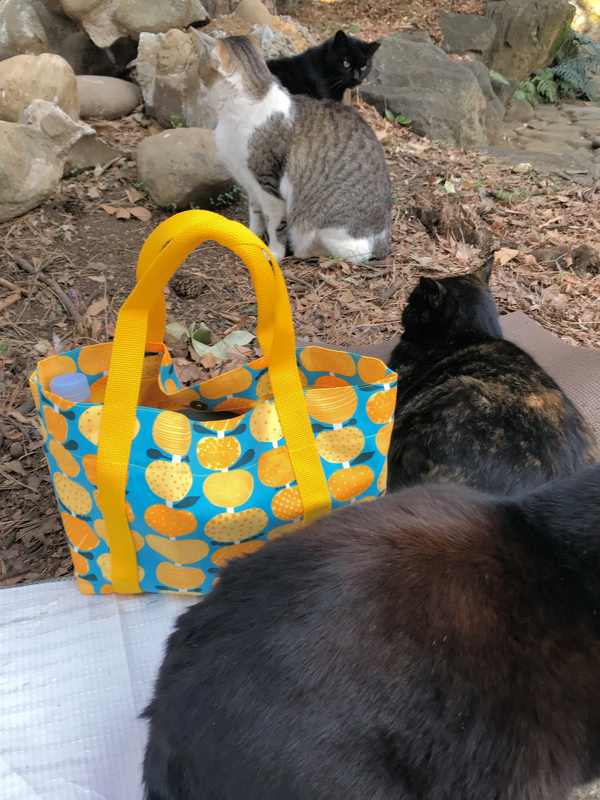 f:id:garadanikki:20190331134702j:plain
