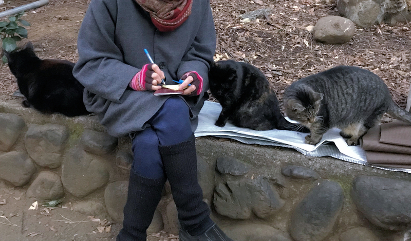 f:id:garadanikki:20190406145159j:plain