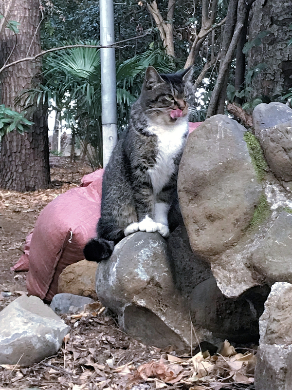 f:id:garadanikki:20190406145200j:plain