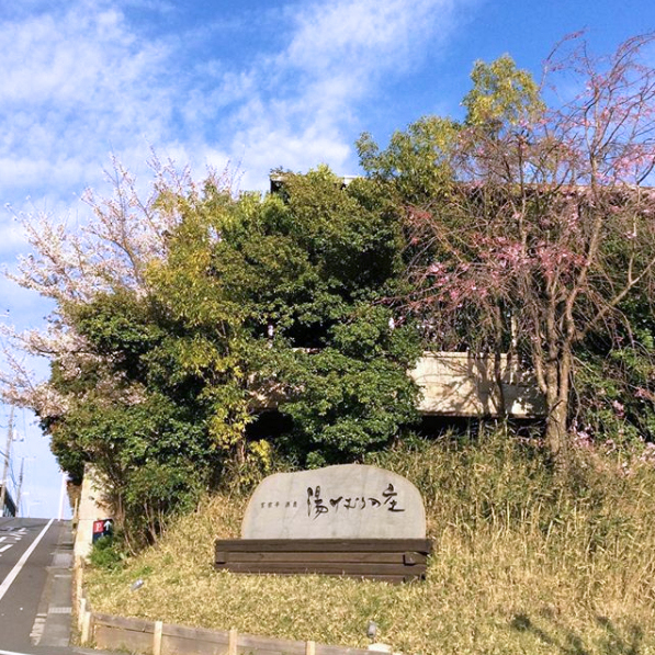 f:id:garadanikki:20190417153614j:plain