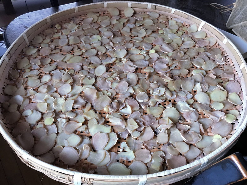 f:id:garadanikki:20190428142425j:plain