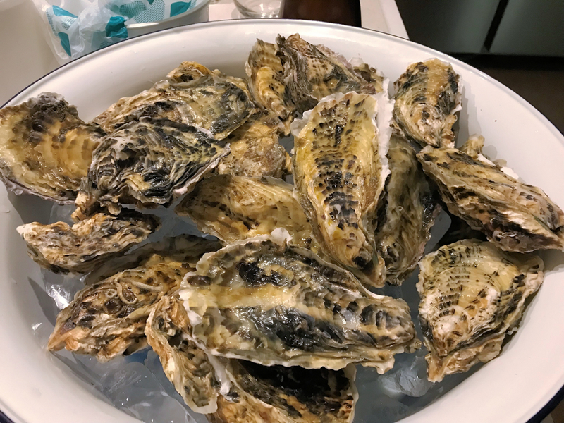 クリックすると大きくなります f:id:garadanikki:20190429113134j:plain