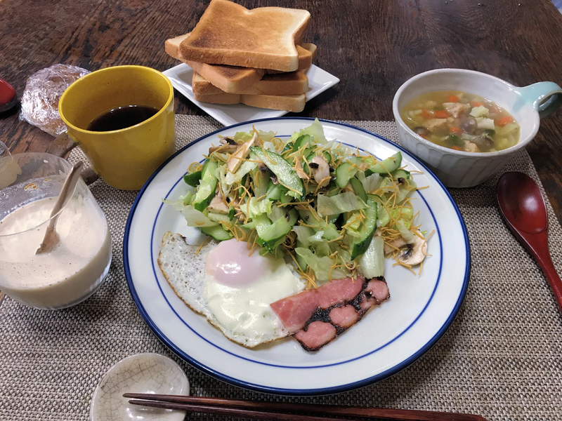 クリックすると大きくなります f:id:garadanikki:20190430061310j:plain