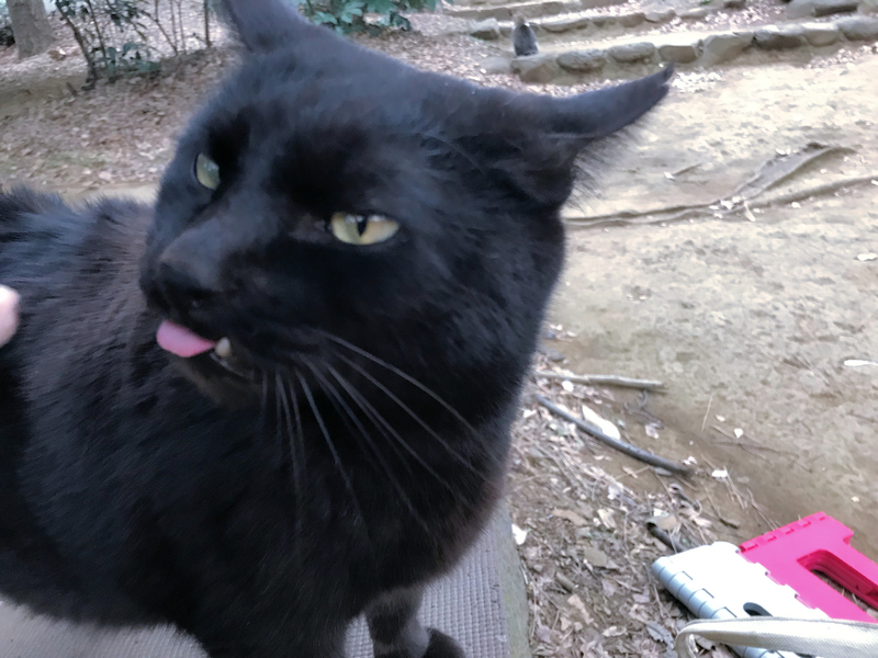 クリックすると大きくなります f:id:garadanikki:20190430131149j:plain