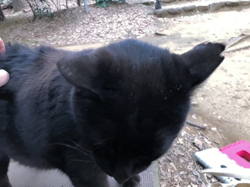 クリックすると大きくなります f:id:garadanikki:20190430131150j:plain