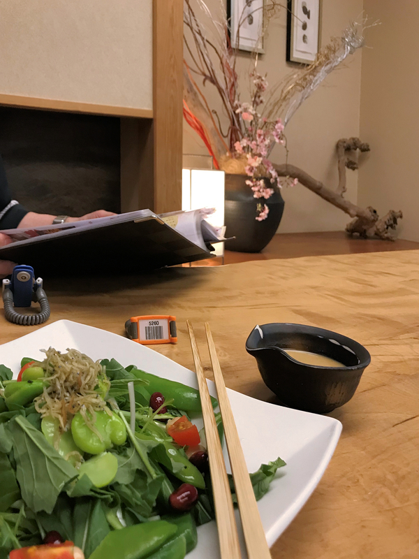 f:id:garadanikki:20190501113037j:plain