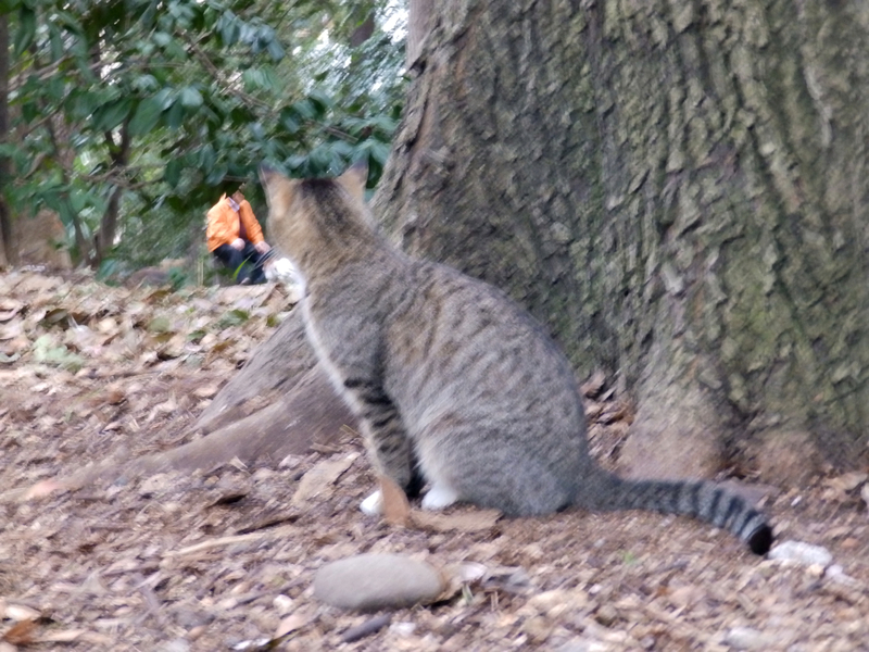 クリックすると大きくなります f:id:garadanikki:20190512091655j:plain