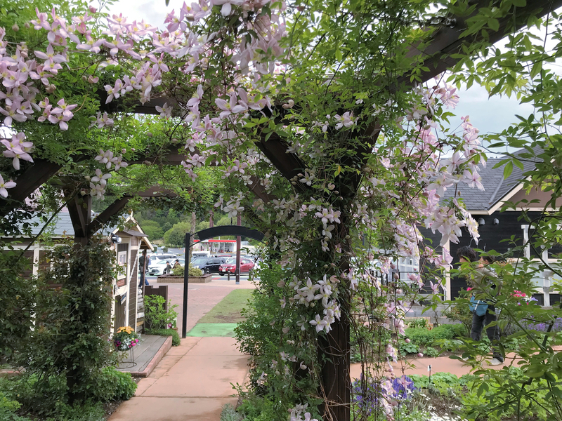 f:id:garadanikki:20190601173307j:plain