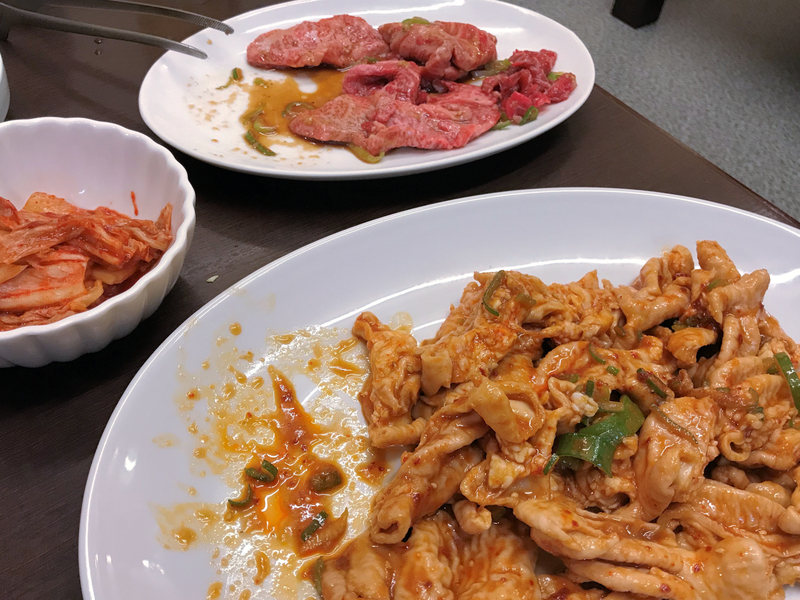 f:id:garadanikki:20190601173316j:plain