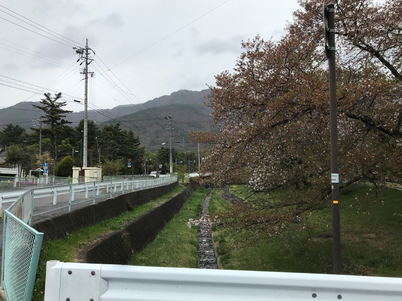 f:id:garadanikki:20190601185939j:plain