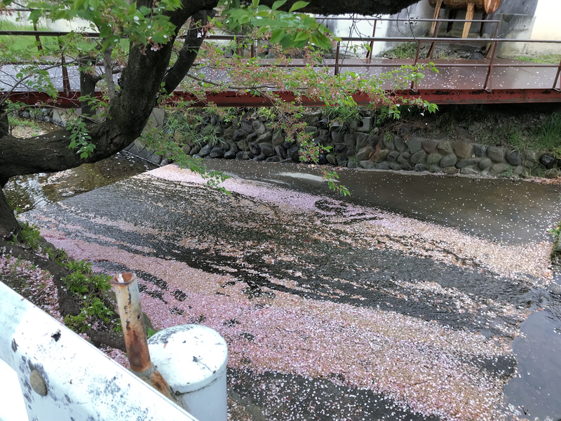 f:id:garadanikki:20190601185943j:plain