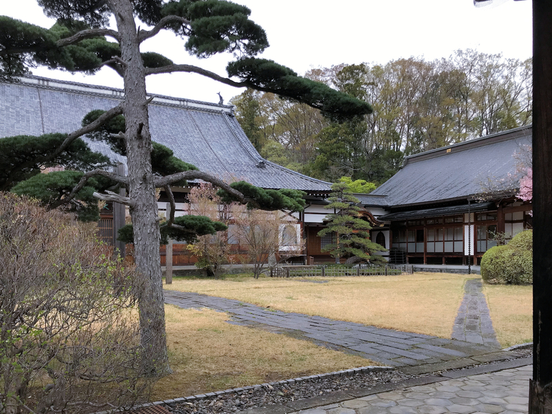 f:id:garadanikki:20190601185944j:plain