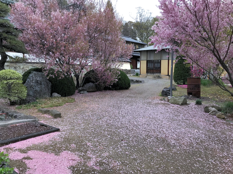 f:id:garadanikki:20190601185947j:plain