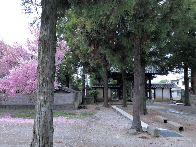 f:id:garadanikki:20190601185950j:plain