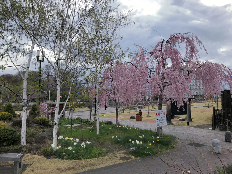 f:id:garadanikki:20190601185959j:plain