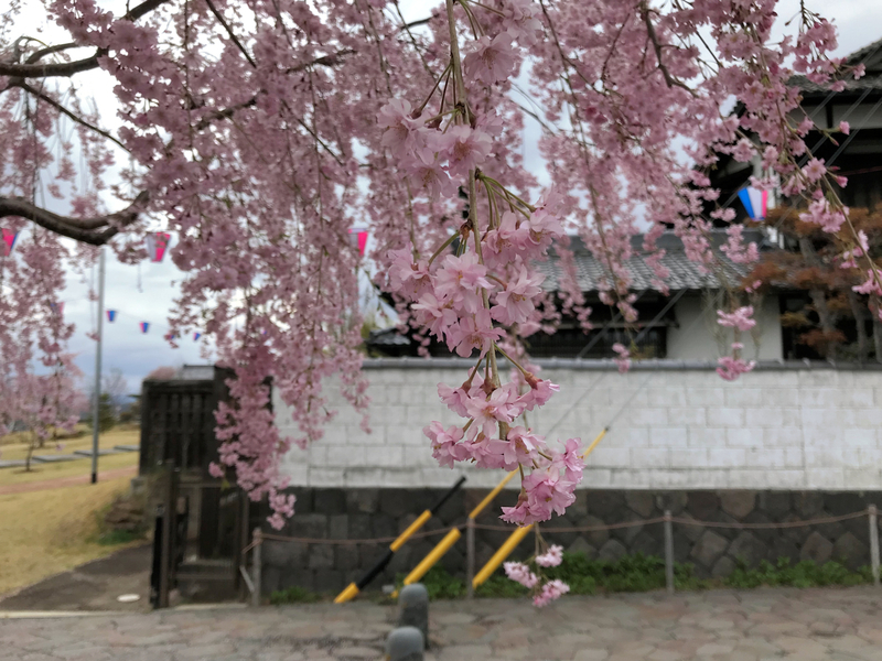 f:id:garadanikki:20190601190001j:plain