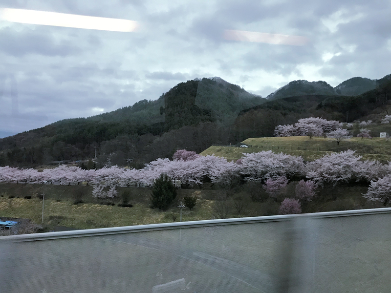 f:id:garadanikki:20190601190003j:plain