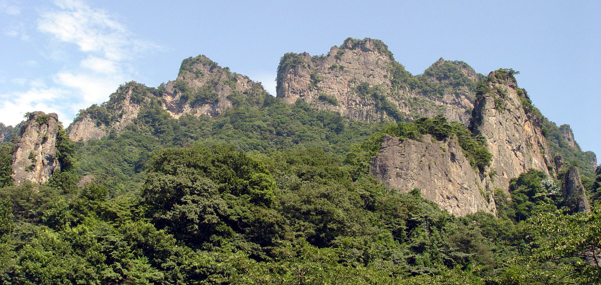 f:id:garadanikki:20190601193754j:plain
