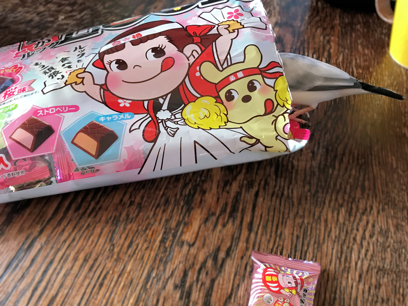 クリックすると大きくなります f:id:garadanikki:20190608131243j:plain