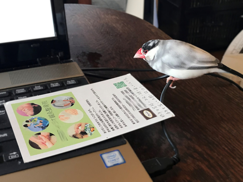 f:id:garadanikki:20190608131715j:plain