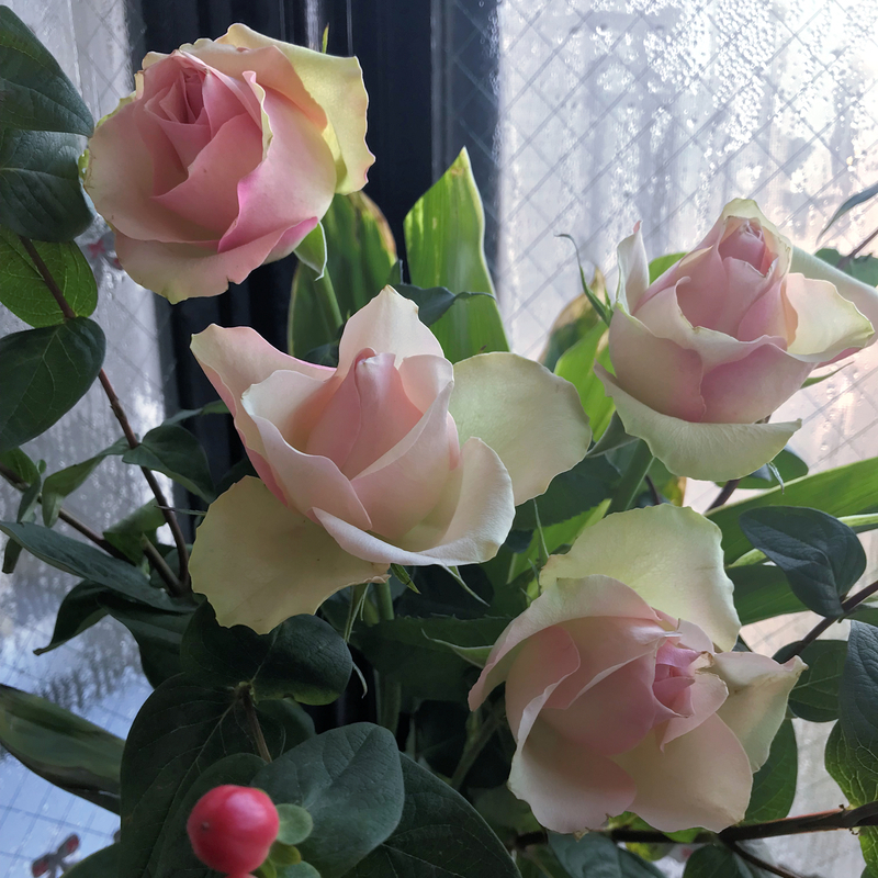 f:id:garadanikki:20190608162609j:plain