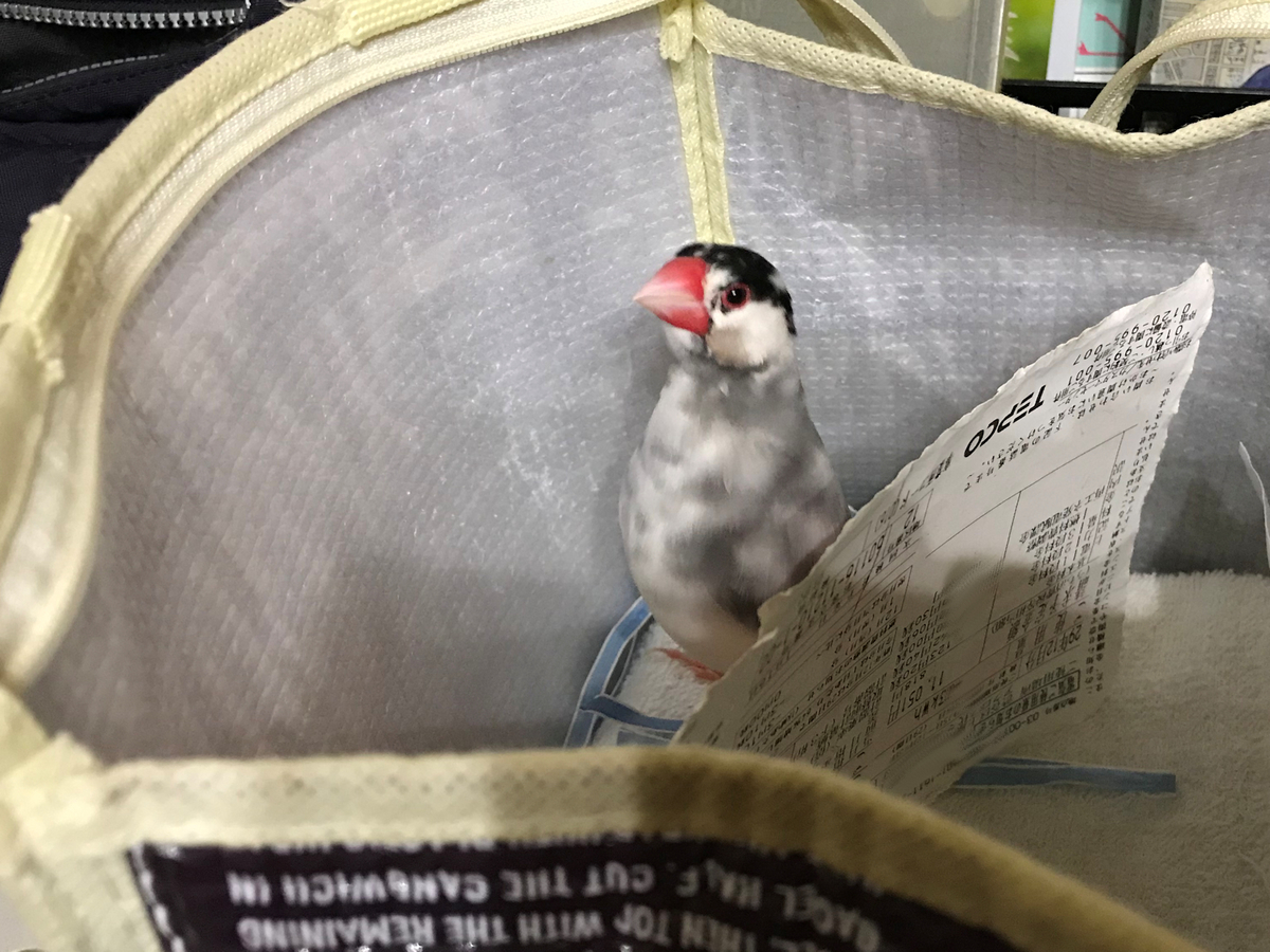 f:id:garadanikki:20190608164027j:plain