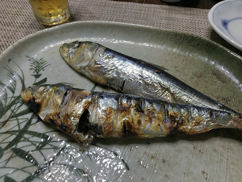 クリックすると大きくなります f:id:garadanikki:20190610181306j:plain