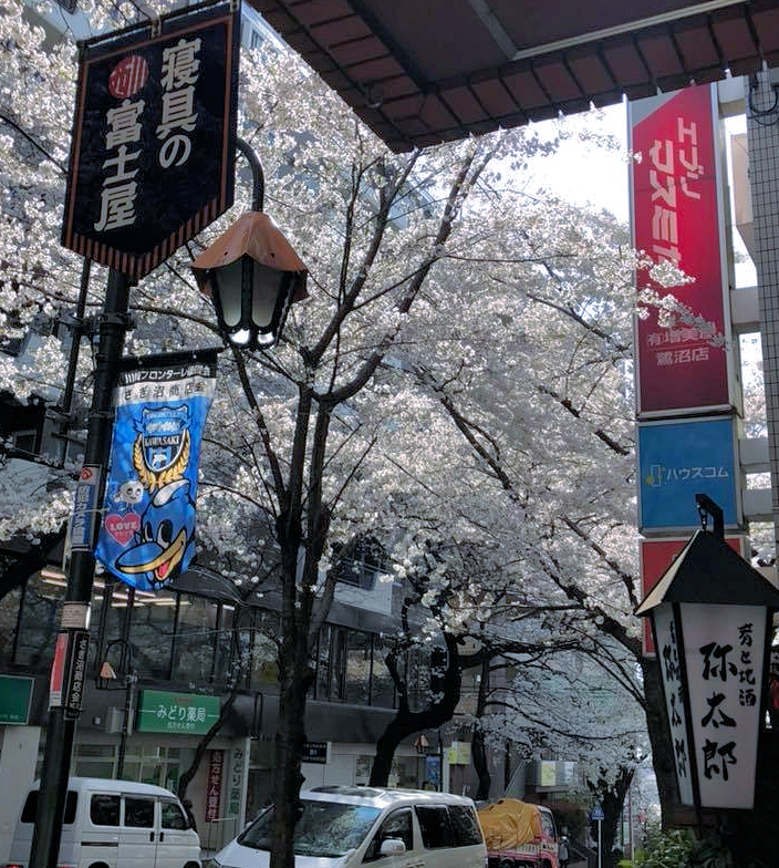 f:id:garadanikki:20190616151935j:plain
