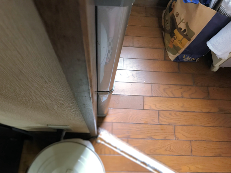 f:id:garadanikki:20190618120851j:plain