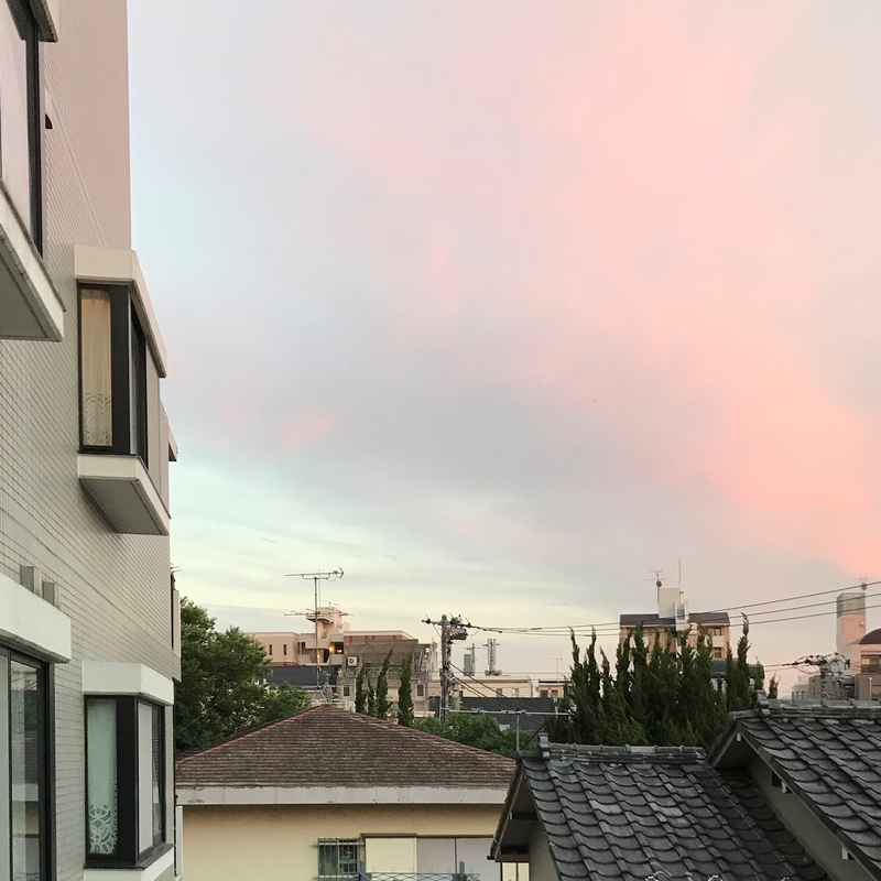 クリックすると大きくなります f:id:garadanikki:20190620153152j:plain