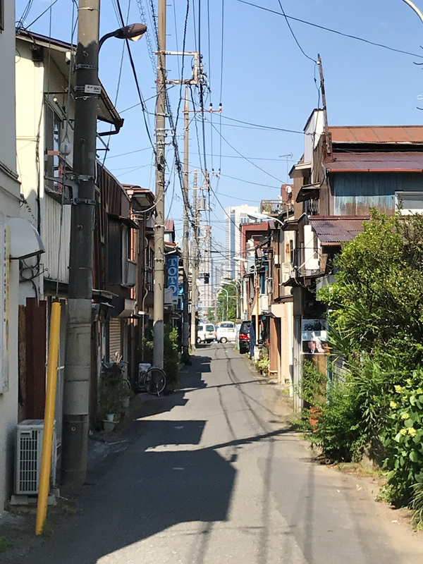 f:id:garadanikki:20190623190945j:plain