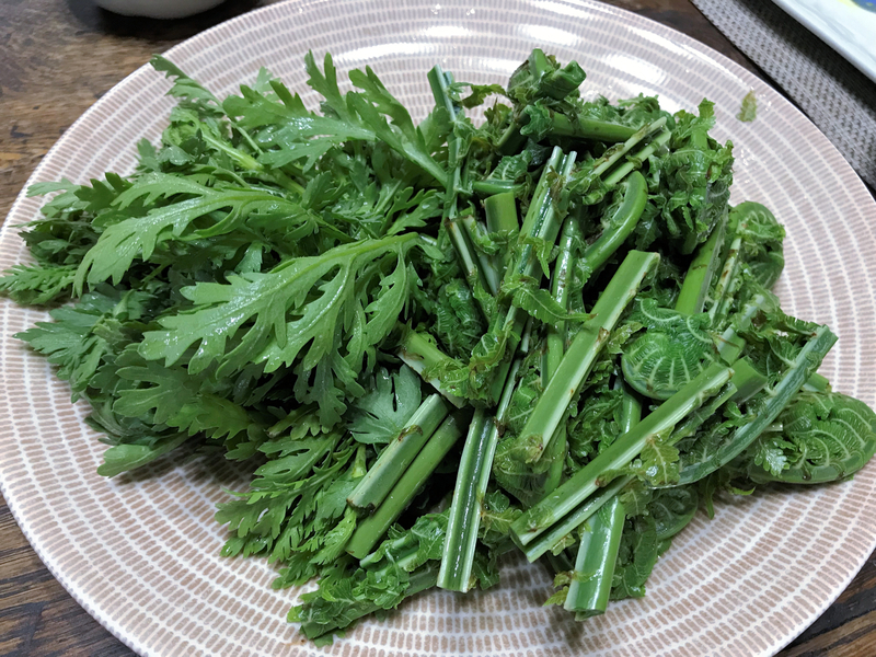 クリックすると大きくなります f:id:garadanikki:20190624171553j:plain