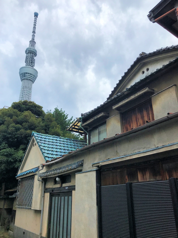 f:id:garadanikki:20190702115434j:plain
