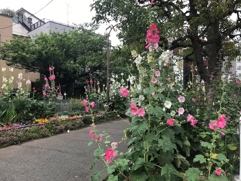 f:id:garadanikki:20190713133217j:plain