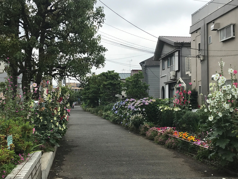 f:id:garadanikki:20190713133235j:plain